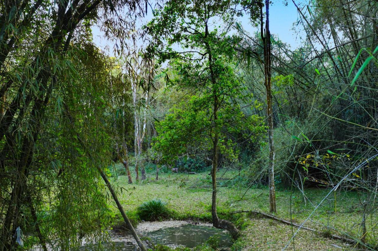 Keys Prima By Lemon Tree Hotels, Thekkady Buitenkant foto